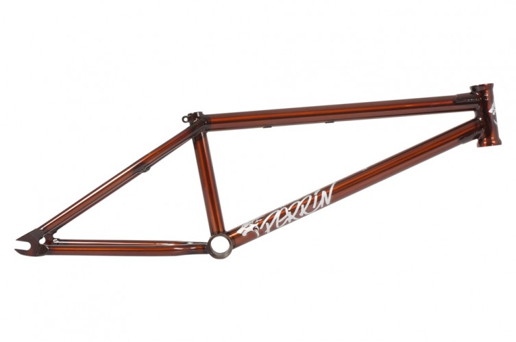 FEDERAL NEW SIGNATURE FRAME